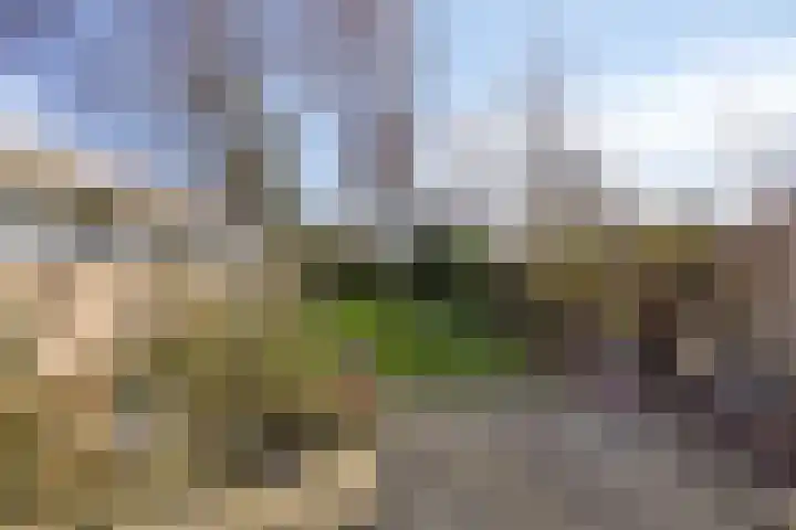 Wachtspoor 20 Assendelft