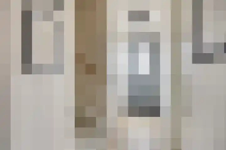 Wachtspoor 20 Assendelft thumbnail 10