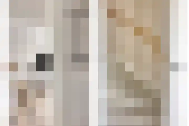 Wachtspoor 20 Assendelft thumbnail 11