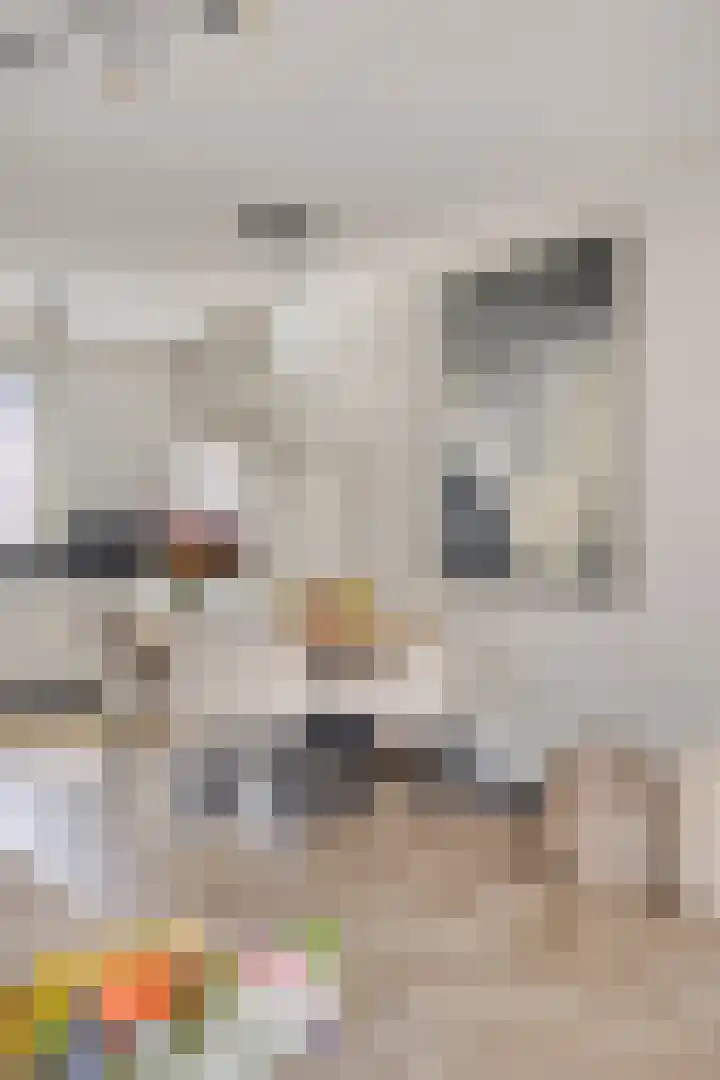 Wachtspoor 20 Assendelft thumbnail 22