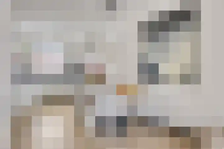Wachtspoor 20 Assendelft thumbnail 23