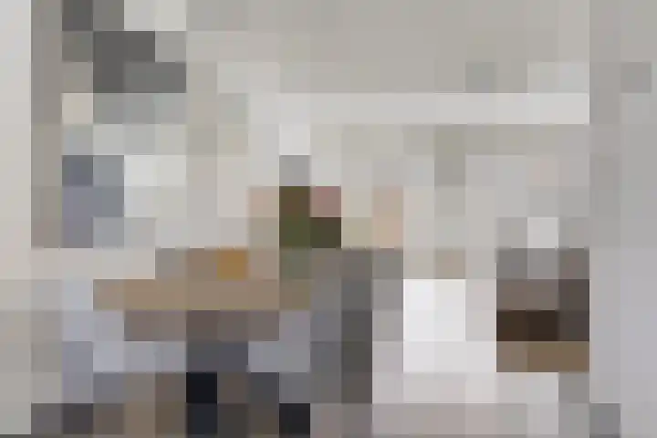 Wachtspoor 20 Assendelft thumbnail 25