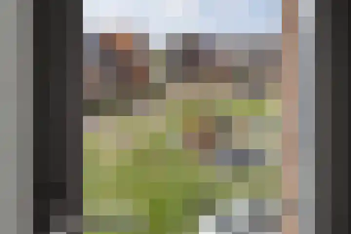 Wachtspoor 20 Assendelft thumbnail 31