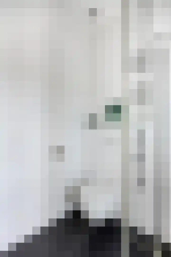 Wachtspoor 20 Assendelft thumbnail 40