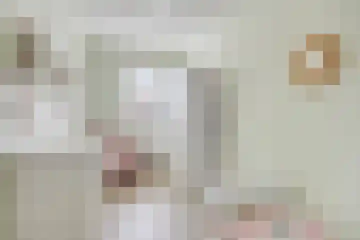 Wachtspoor 20 Assendelft thumbnail 42