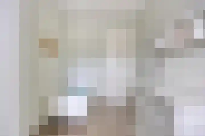 Wachtspoor 20 Assendelft thumbnail 43