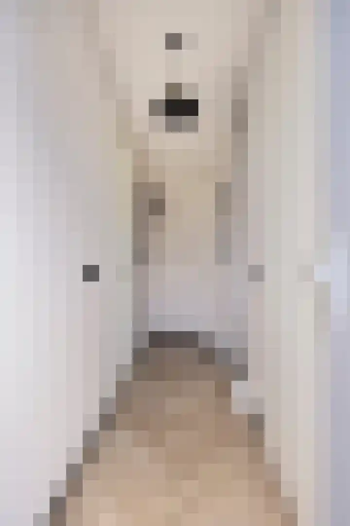 Wachtspoor 20 Assendelft thumbnail 7
