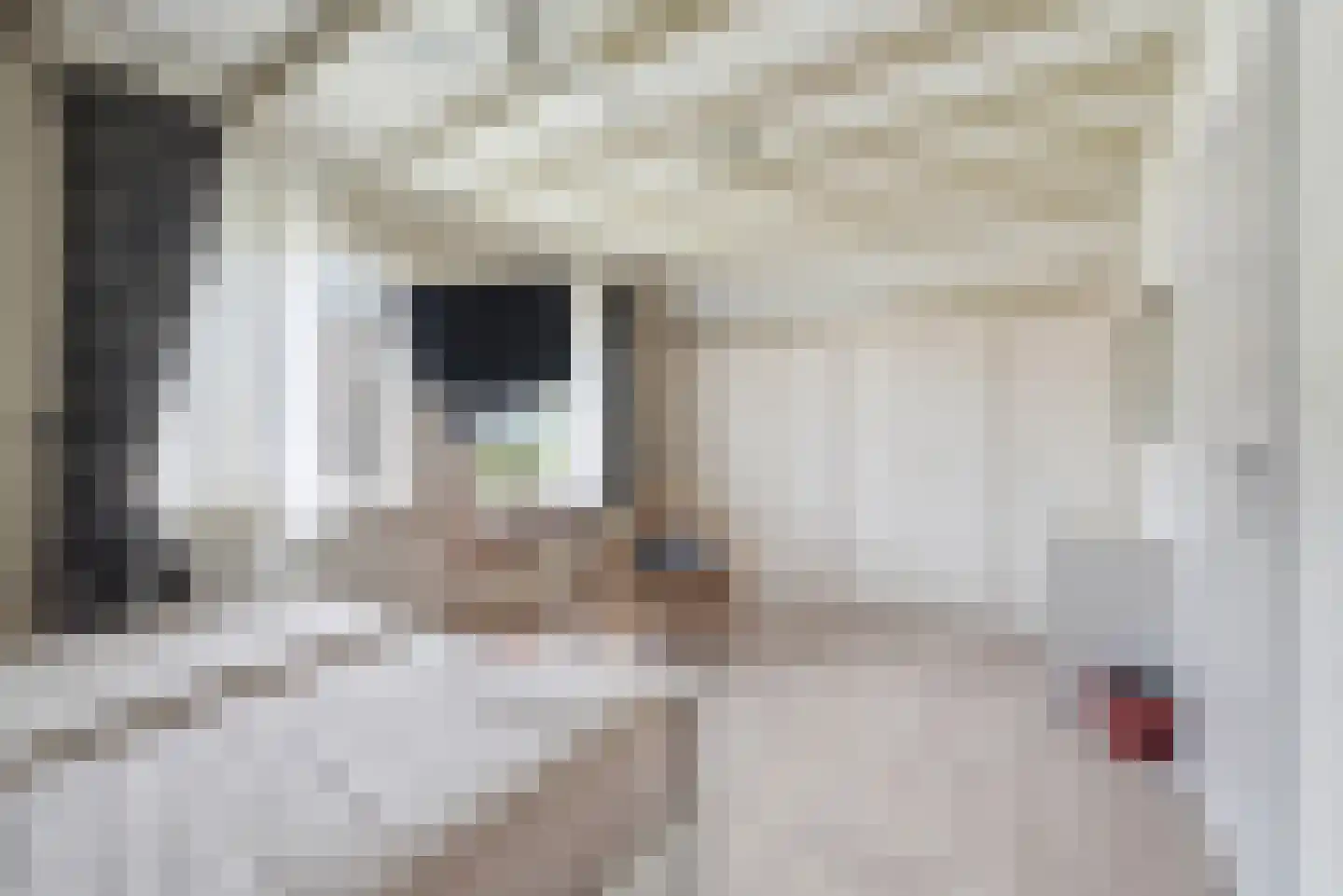 Wachttoren 15 Middelburg thumbnail 16