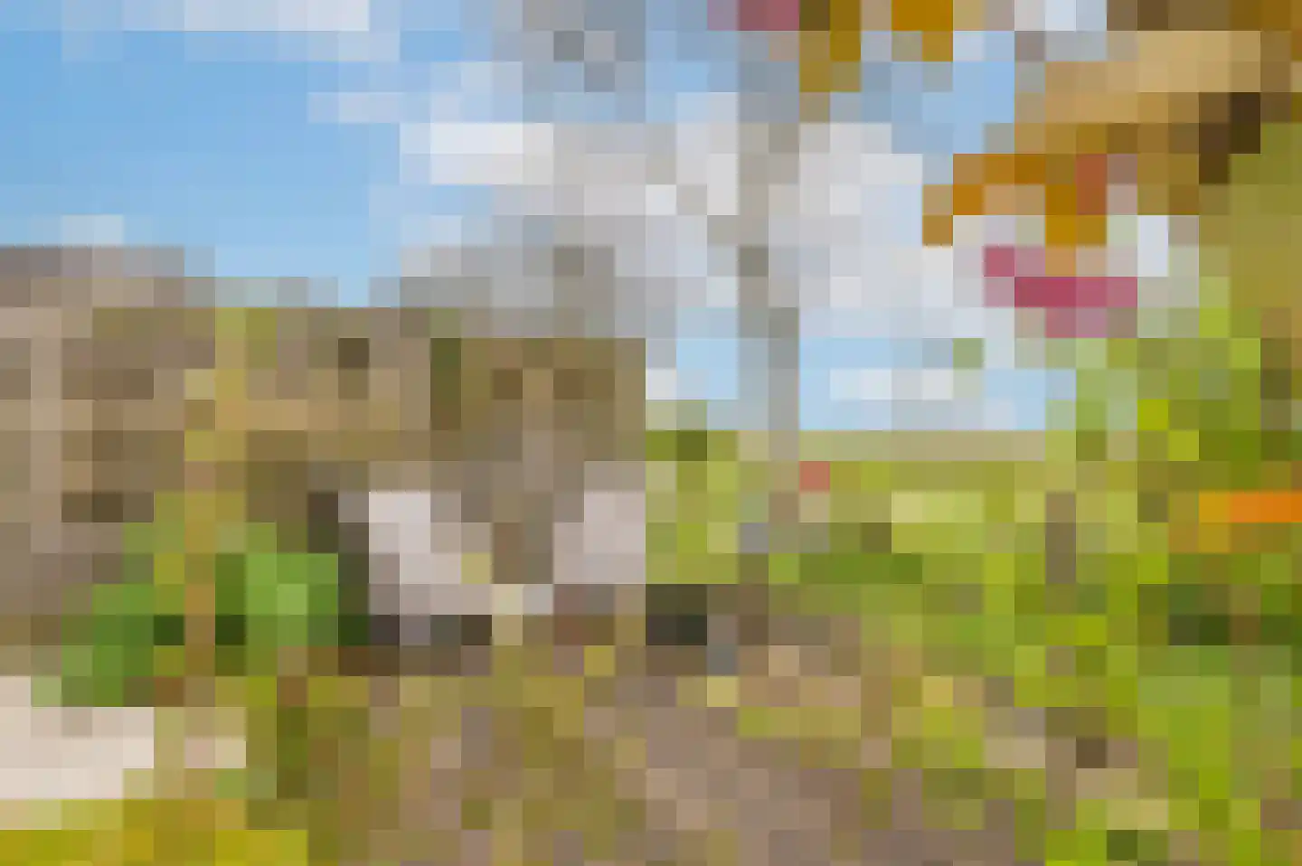 Wachttoren 17 Middelburg thumbnail 33