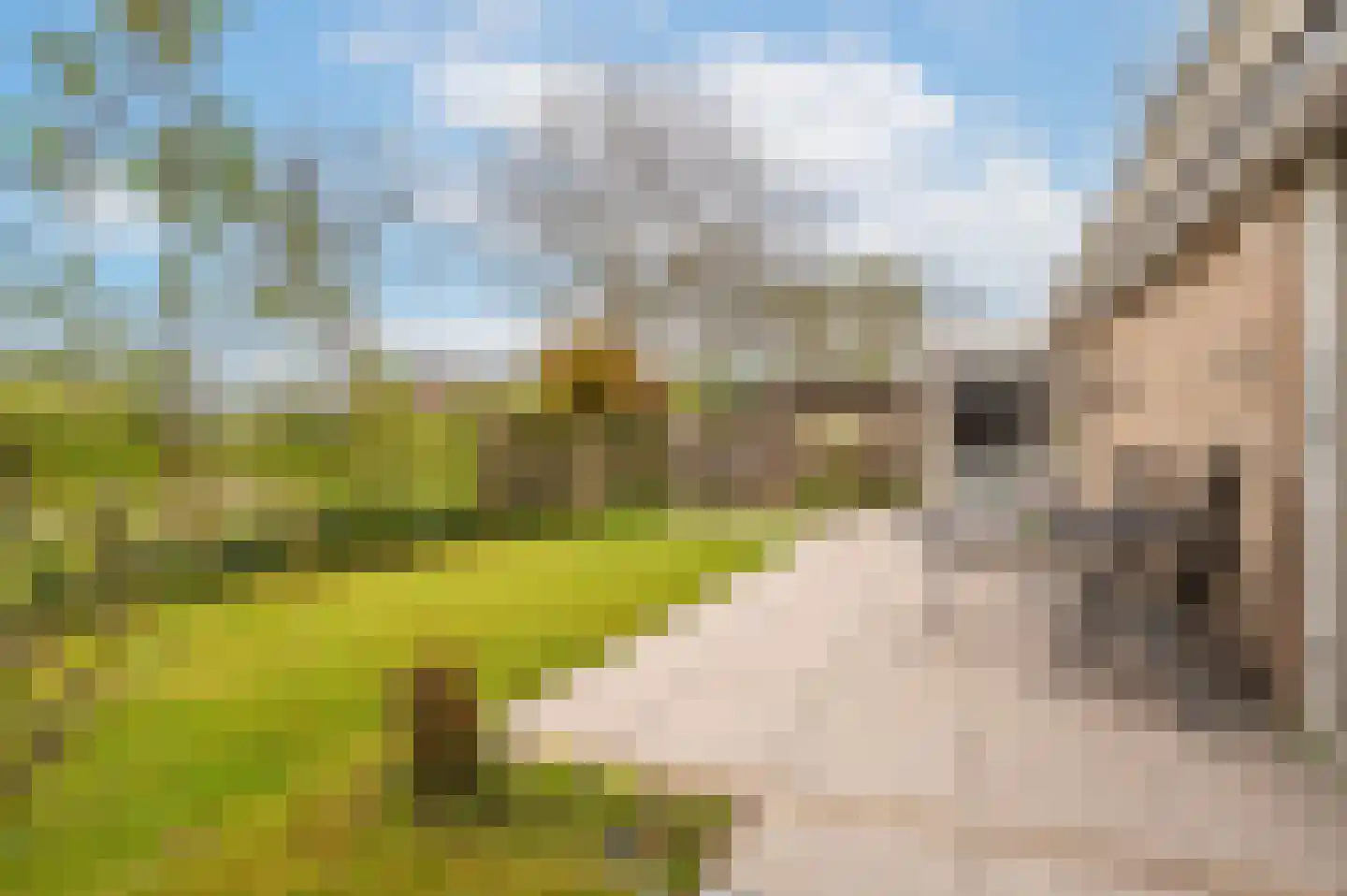 Wachttoren 17 Middelburg thumbnail 35