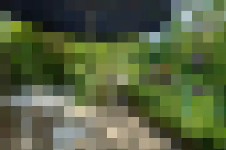Wachttoren 3 Middelburg thumbnail 31