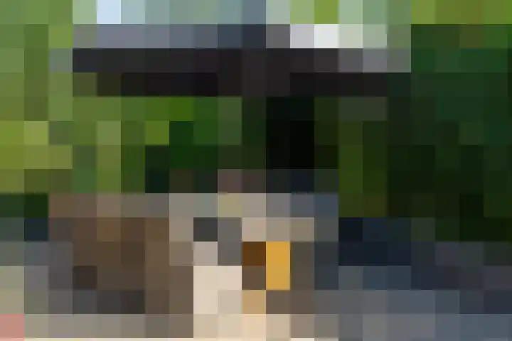 Wachttoren 3 Middelburg thumbnail 36