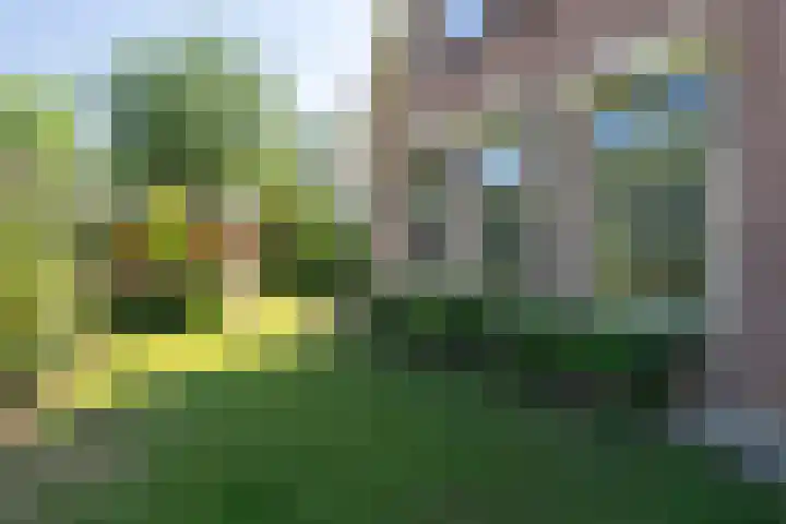 Wachttoren 3 Middelburg thumbnail 37