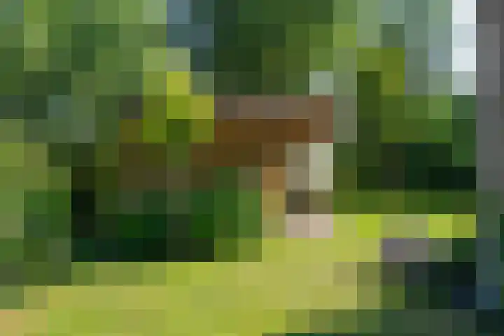 Wachttoren 3 Middelburg thumbnail 38