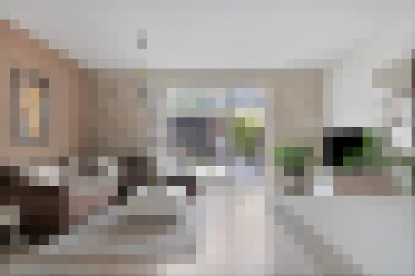 Wachtumstraat 42 Den Haag thumbnail 8