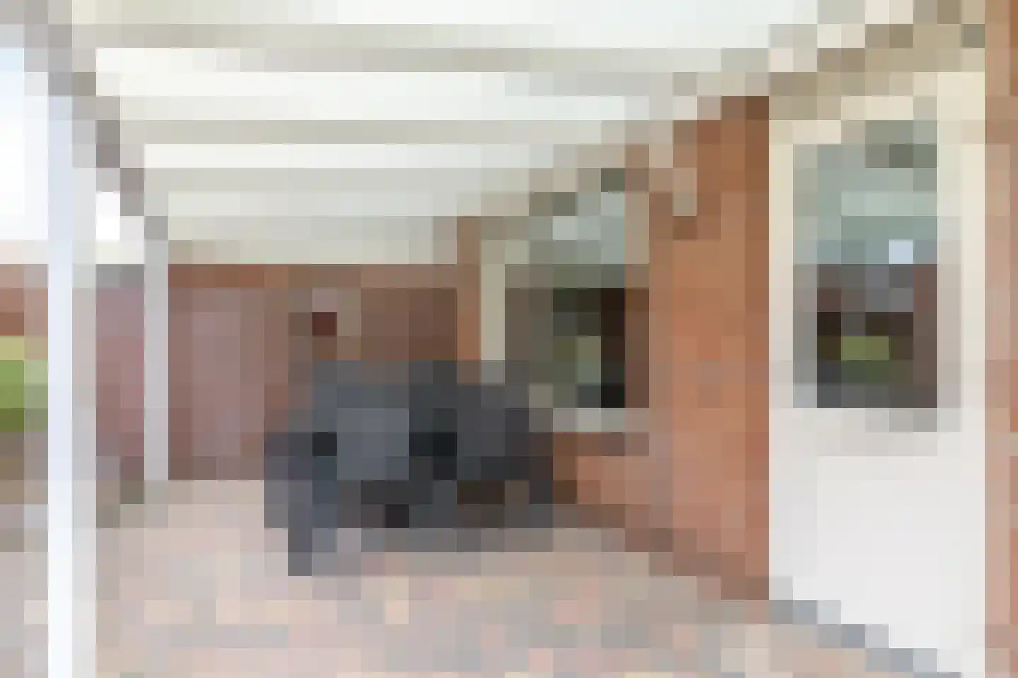 Wackersstraat 19 Eygelshoven thumbnail 32
