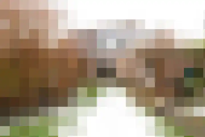 Wad 4 Grijpskerk thumbnail 14