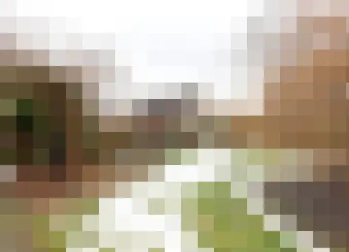 Wad 4 Grijpskerk thumbnail 15