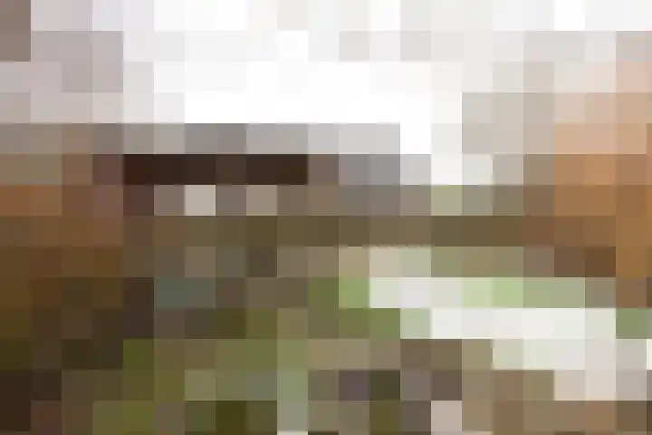 Wad 4 Grijpskerk thumbnail 16