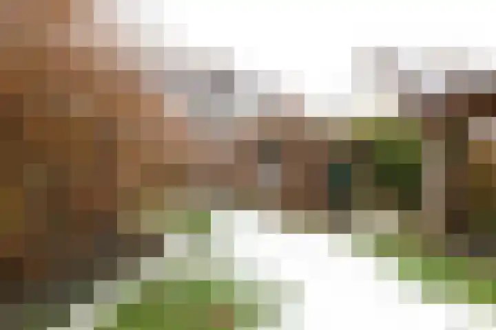 Wad 4 Grijpskerk thumbnail 17
