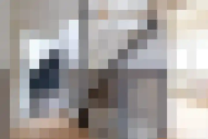 Wad 4 Grijpskerk thumbnail 23