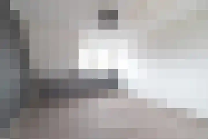 Wad 4 Grijpskerk thumbnail 24