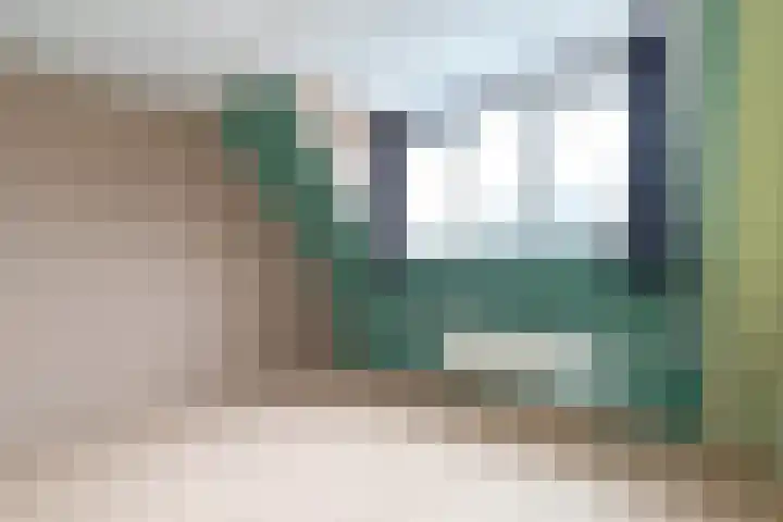 Wad 4 Grijpskerk thumbnail 26