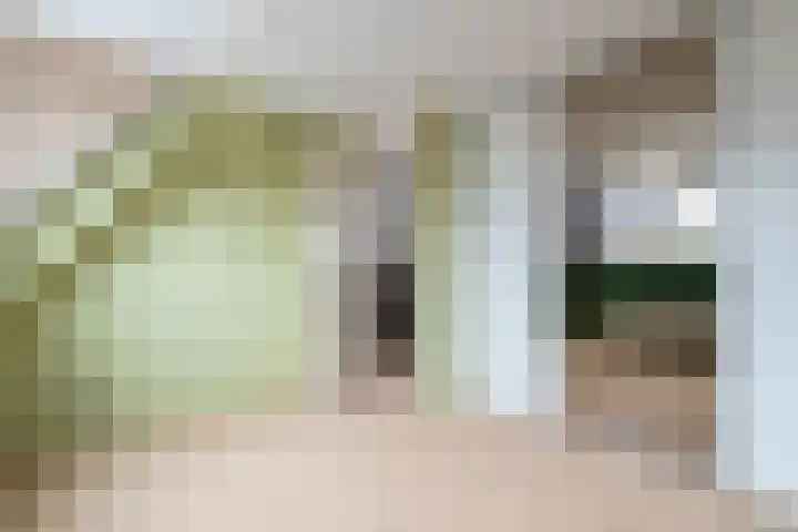Wad 4 Grijpskerk thumbnail 27