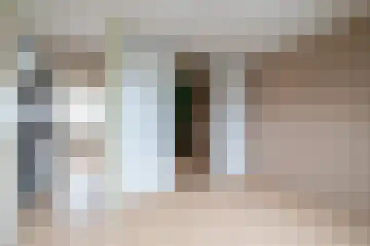 Wad 4 Grijpskerk thumbnail 28