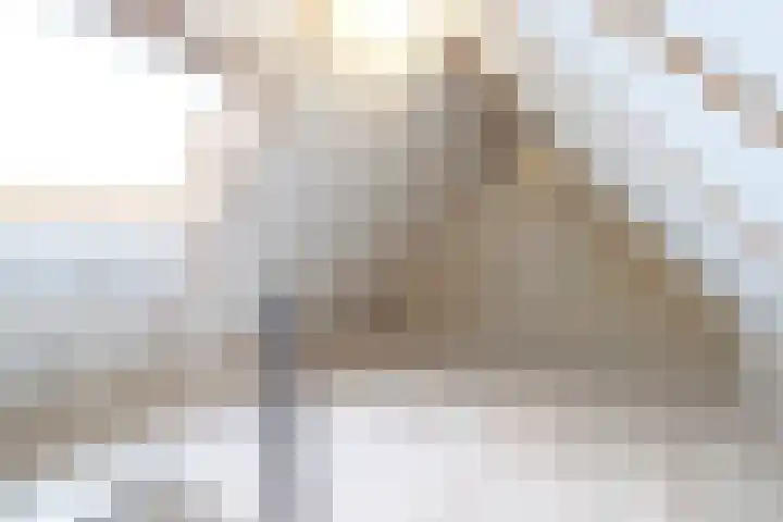Wad 4 Grijpskerk thumbnail 35