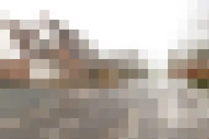 Wad 4 Grijpskerk thumbnail 39
