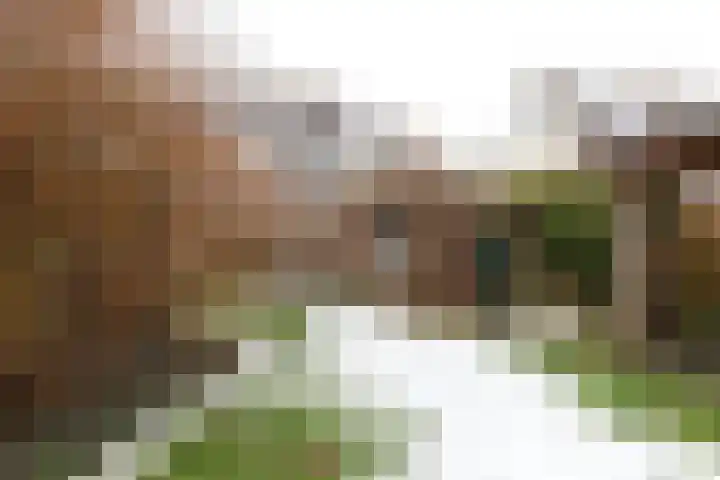 Wad 4 Grijpskerk thumbnail 5
