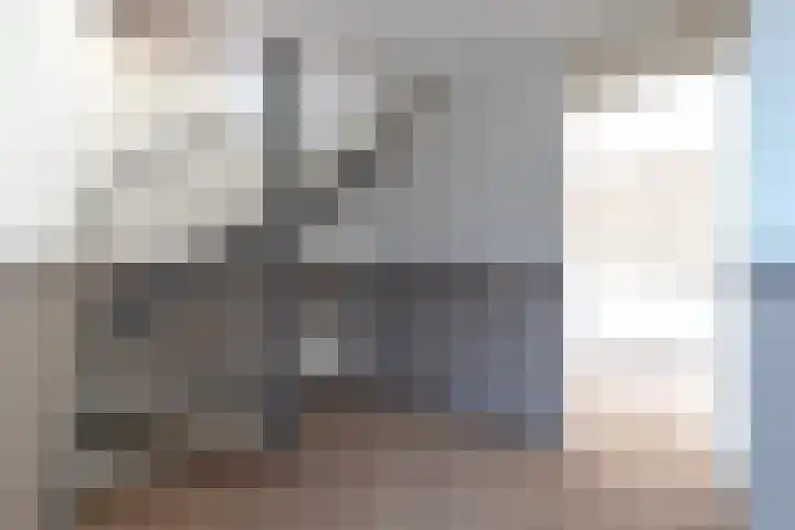 Wad 4 Grijpskerk thumbnail 7