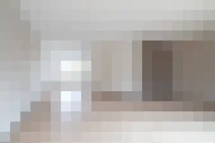 Wad 4 Grijpskerk thumbnail 8