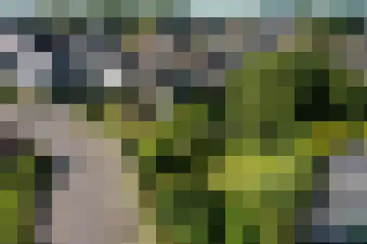 Wadden 2 Loppersum thumbnail 10