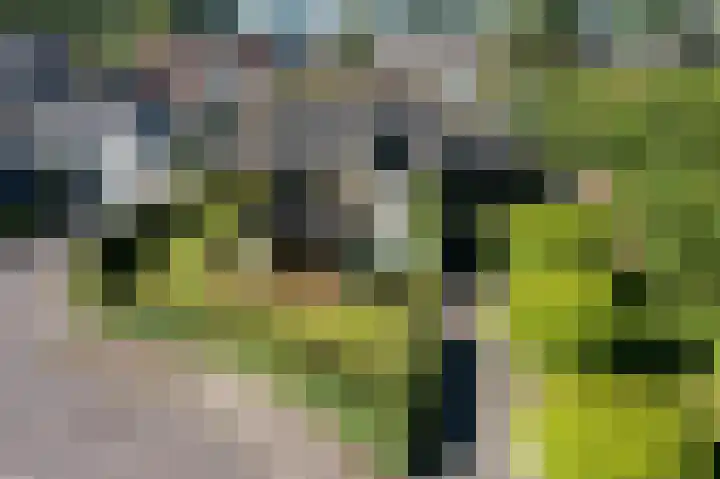 Wadden 2 Loppersum thumbnail 11