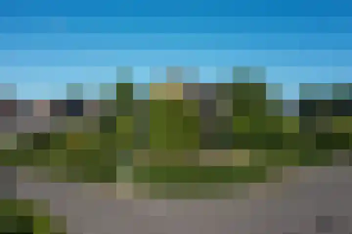 Wadden 2 Loppersum thumbnail 12