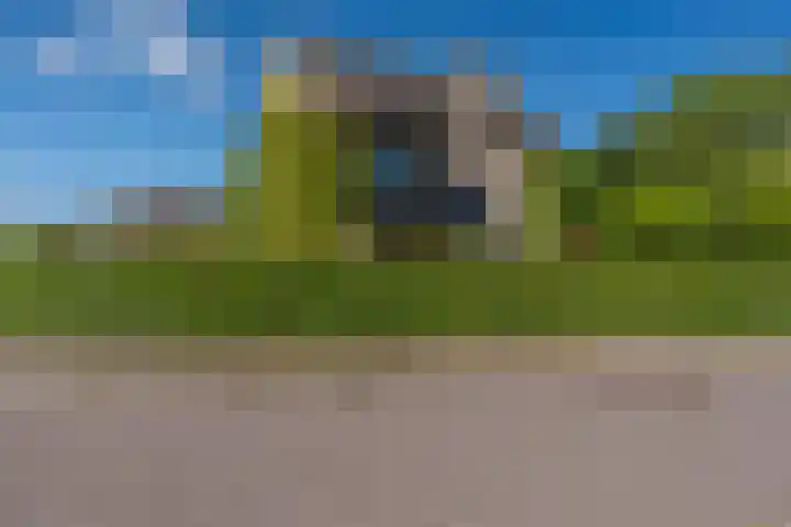 Wadden 2 Loppersum thumbnail 13