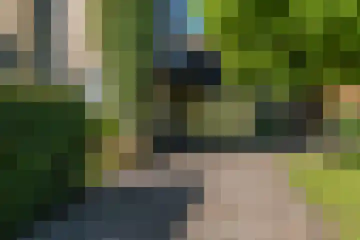 Wadden 2 Loppersum thumbnail 15