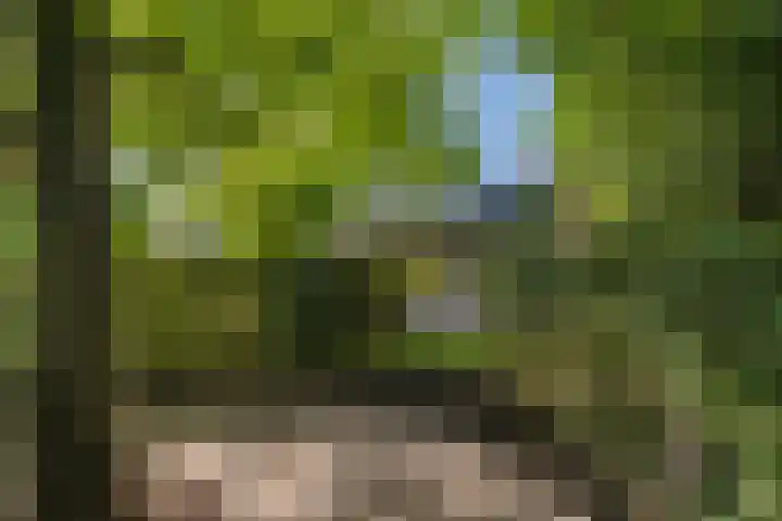 Wadden 2 Loppersum thumbnail 19