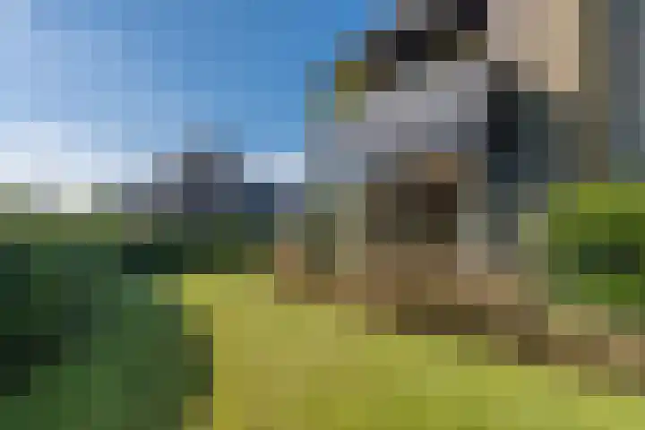 Wadden 2 Loppersum thumbnail 20
