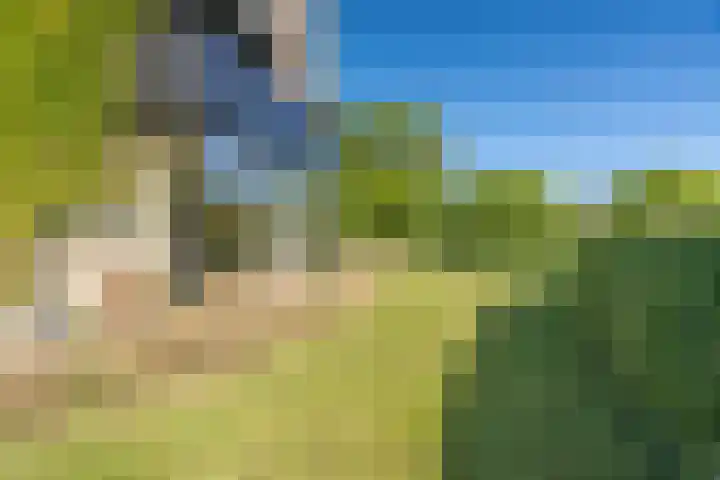 Wadden 2 Loppersum thumbnail 21