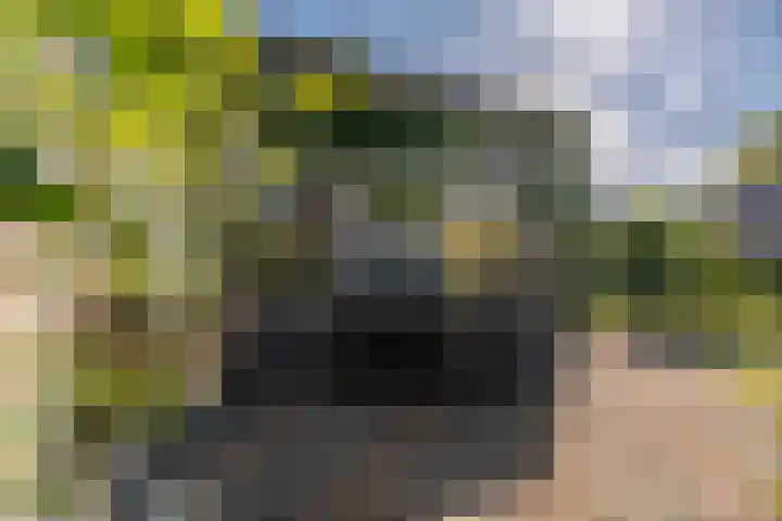 Wadden 2 Loppersum thumbnail 22