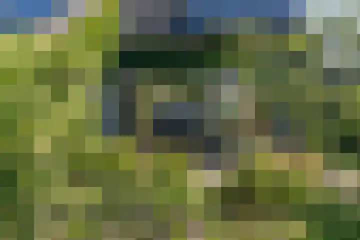 Wadden 2 Loppersum thumbnail 23