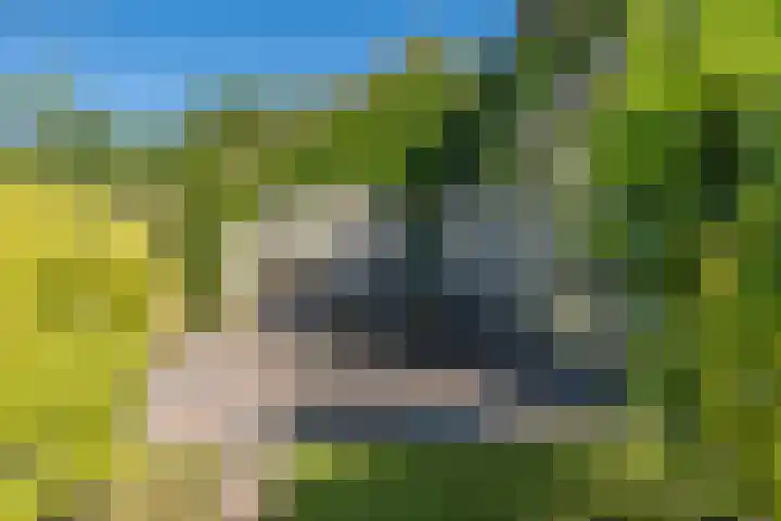 Wadden 2 Loppersum thumbnail 24