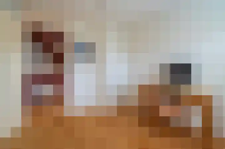 Wadden 2 Loppersum thumbnail 28