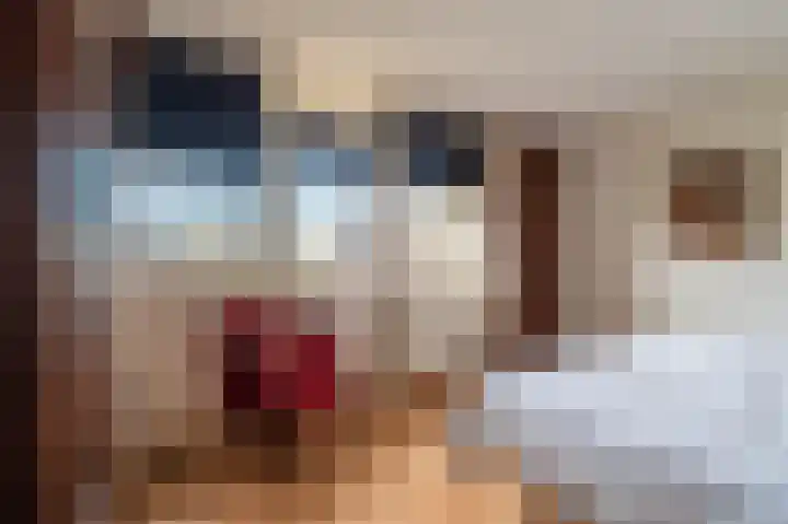 Wadden 2 Loppersum thumbnail 39
