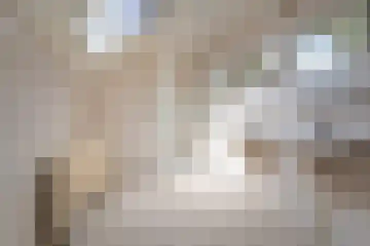 Wadden 2 Loppersum thumbnail 46