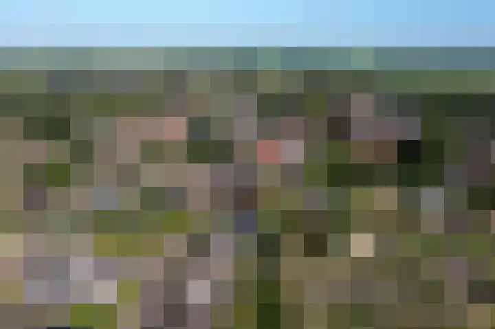 Wadden 2 Loppersum thumbnail 7