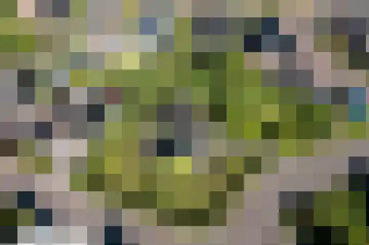 Wadden 2 Loppersum thumbnail 9
